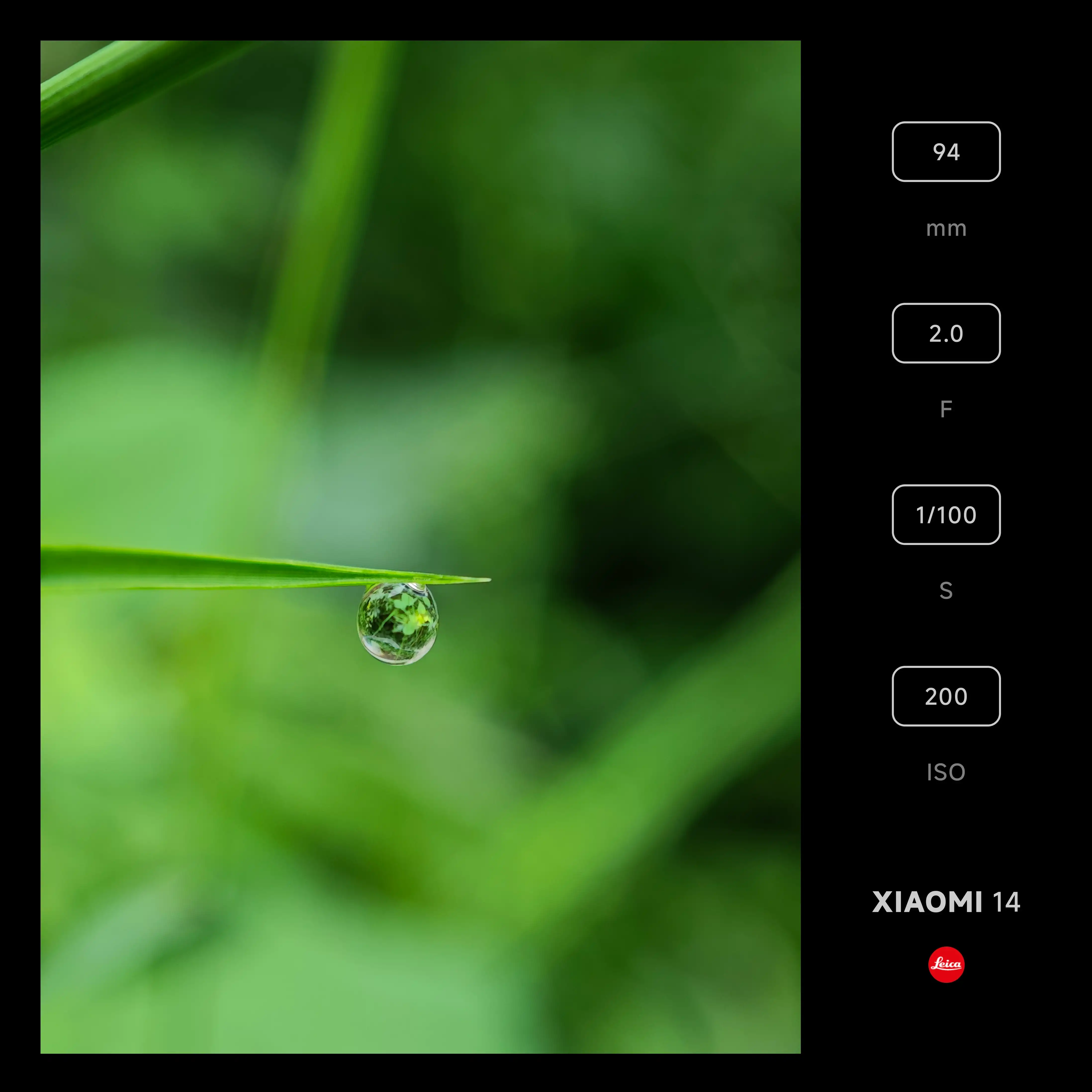 Xiaomi Community