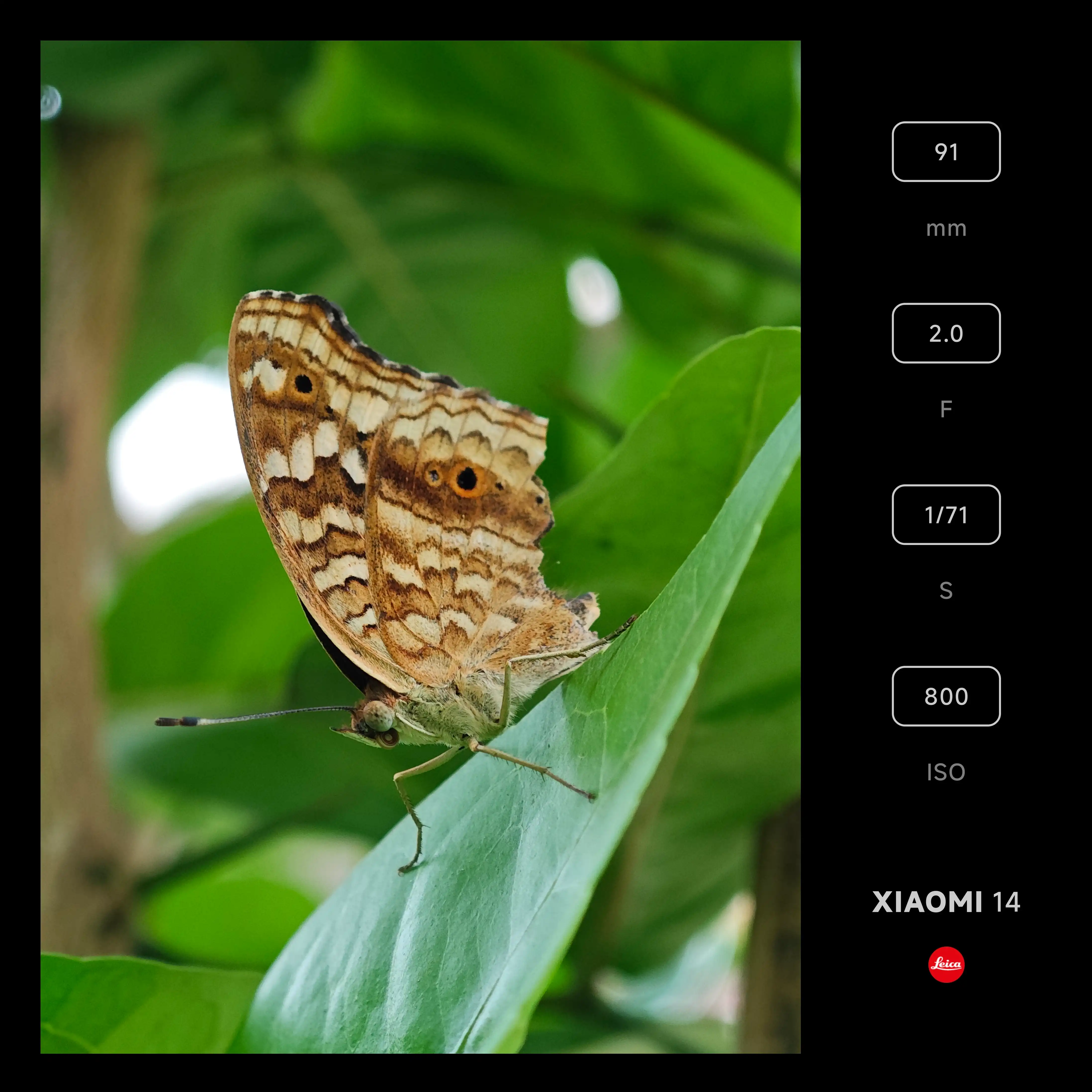 Xiaomi Community