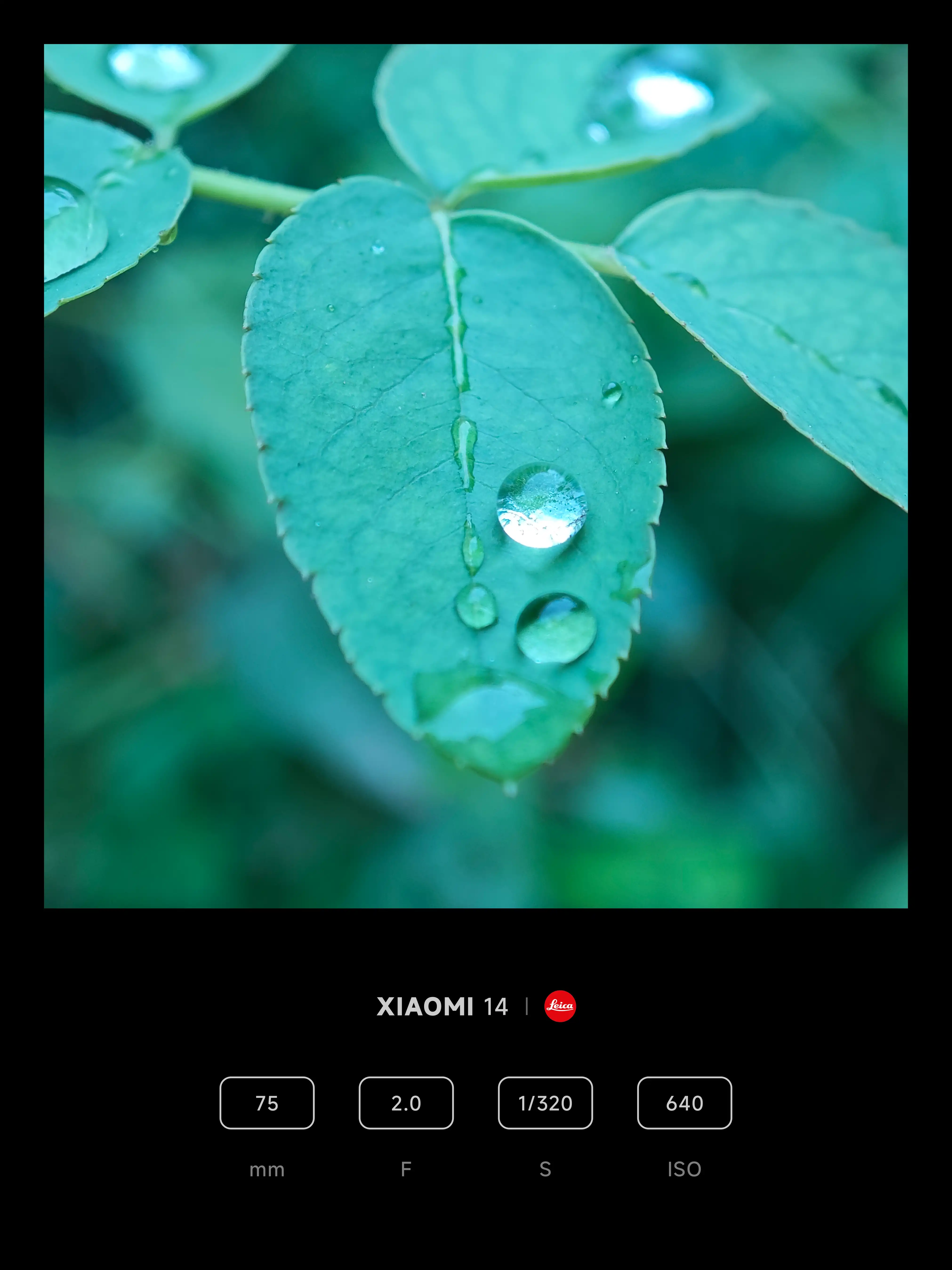 Xiaomi Community