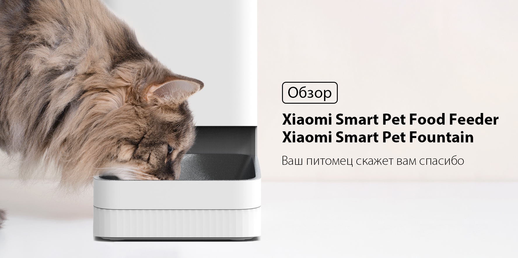 Ваш питомец скажет вам спасибо: обзор Xiaomi Smart Pet Food Feeder и Xiaomi  Smart Pet Fountain | Xiaomi Community