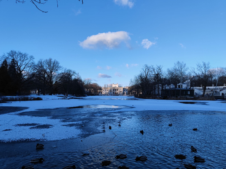 04166B40B0Ae42907C30717F9028069D Technosenior