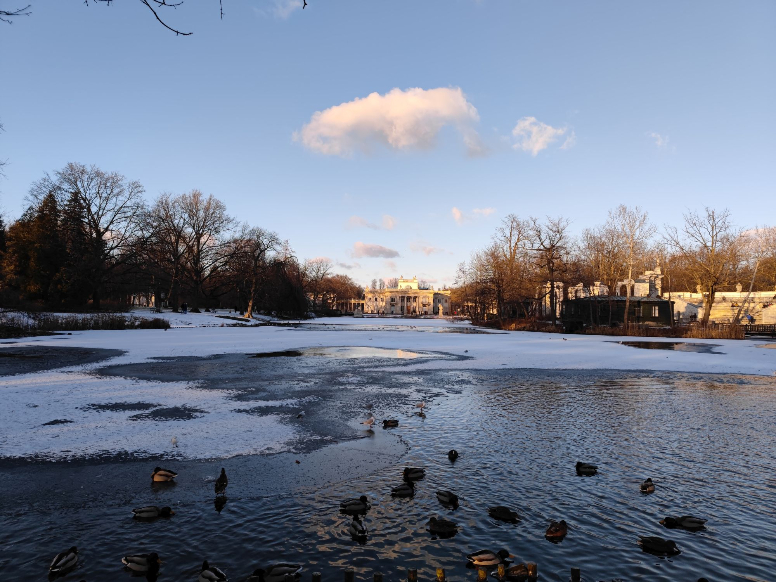 11E3Cc0F913643E14C83Dfd5645428C1 Technosenior