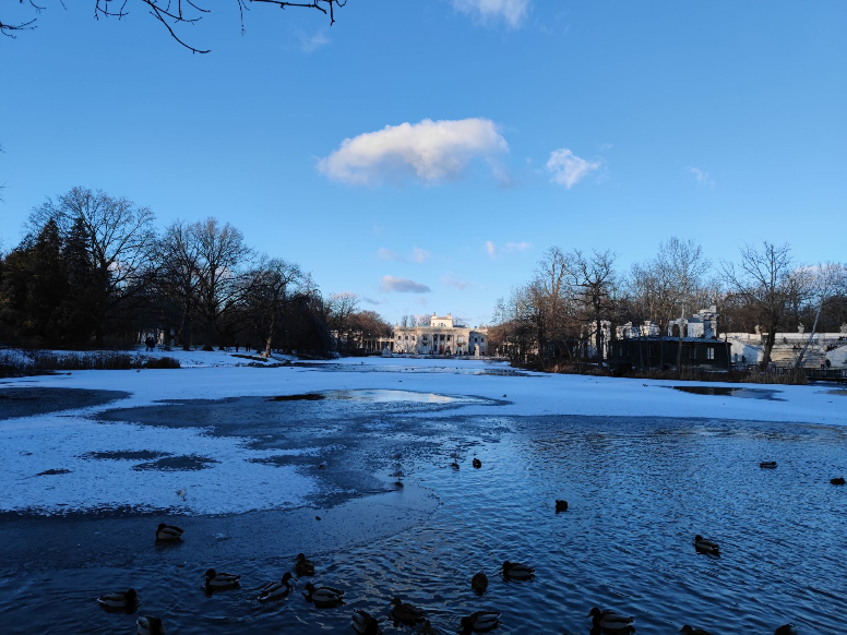 69Cc028E7E919E8Fbbe2Cb07A40920Fd Technosenior