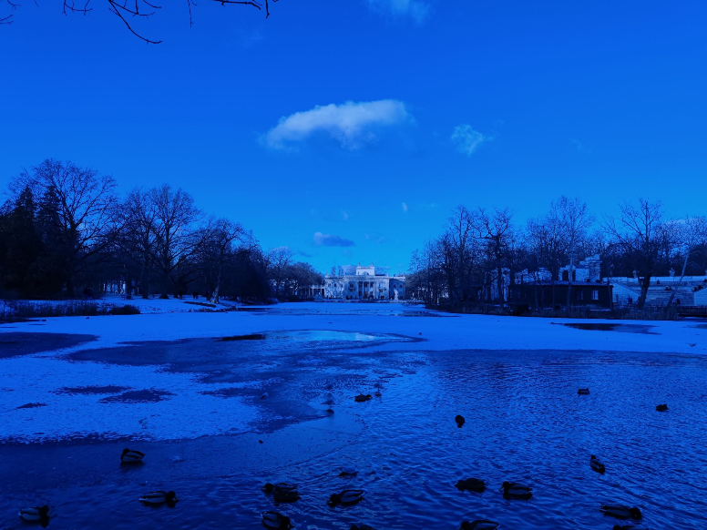 Cd1Da1093A99Fba9E53Fa736627Db4A4 Technosenior